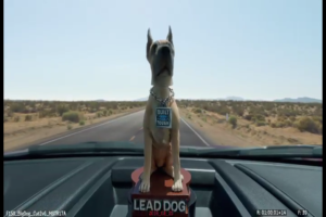 FORD F150 - BIG DOG